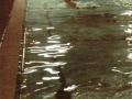 (26) Gary Briggs 2nd  Swimming Final circa 1983 web.jpg